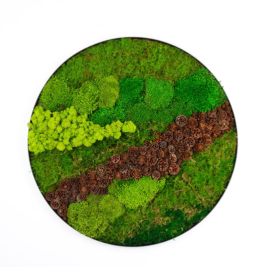 Verdant Pathway - Moss Art