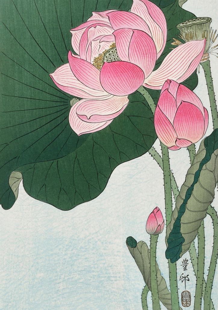 Lotus Whispers - Canvas