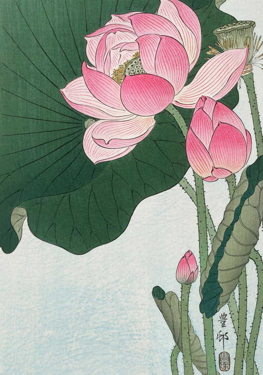 Lotus Whispers - Canvas