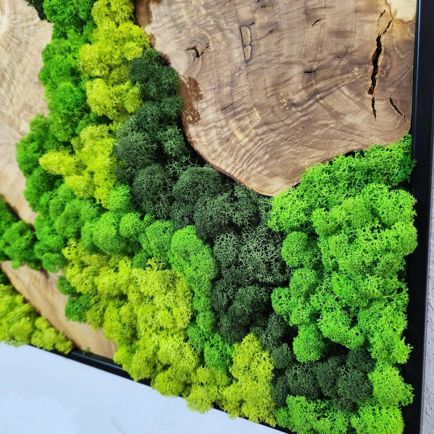 Emerald Ridge - Moss Art